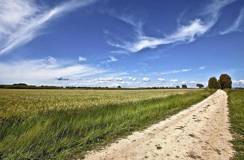 Agriturismo Podere Giulio Tarquinia Eksteriør billede